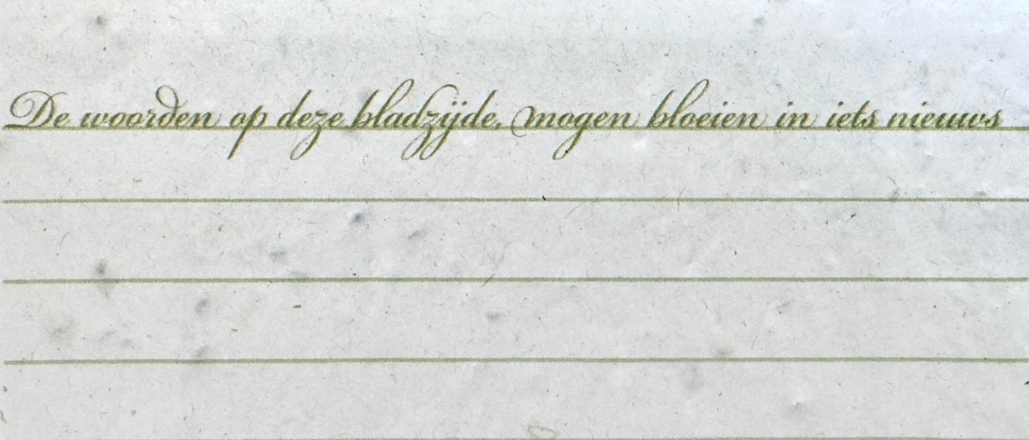 Pak van 4 - Bloeibrieven